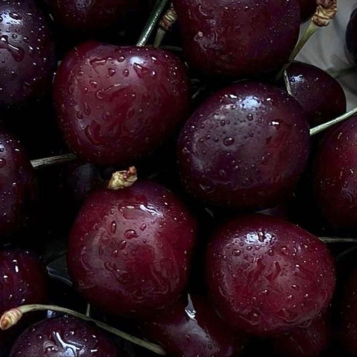 Cherry Oil