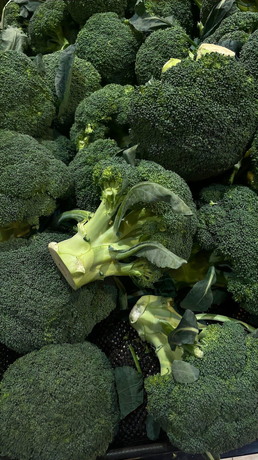 Broccoli Seed Oil
